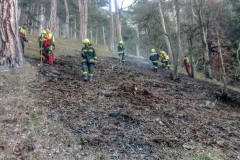 20191119_Hirschwang_Waldbrand-3-1024x768