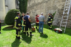 Bienen wurden vor Ort belassen